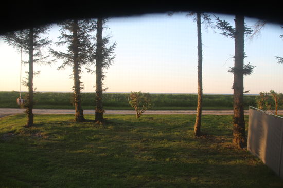 jetzt Ausblick nach VORNE Ostsee - zumindest ein schmaler Streifen hinter dem Deich