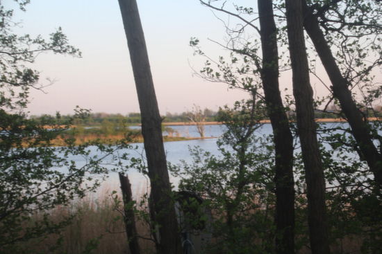 Ausblick nach hinten vom Dachzelt aus: Naturschutzgebiet mit Binnensee