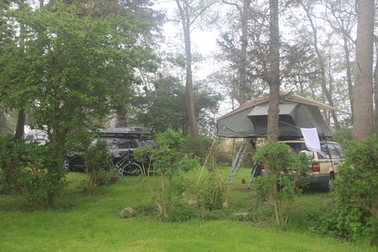 in kurzer Zeit habe ich eingepackt, während Uwe noch Schönheitsschlaf hält - er ist noch jung, bei mir ist das zu spät 