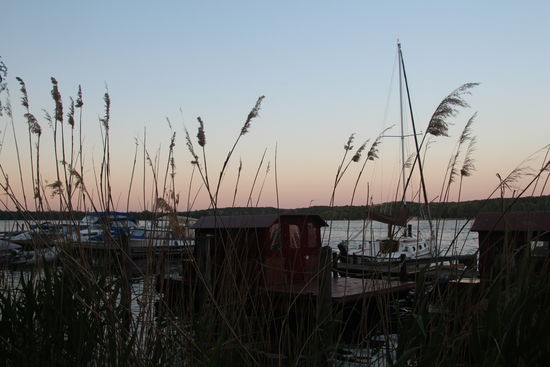 Hier sind noch ein paar Bilder vom gestrigen Abendspaziergang über den Campingplatz.