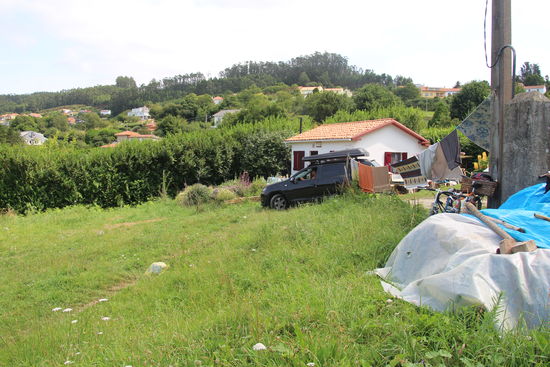 Mutig abwärts durch die Wiese.