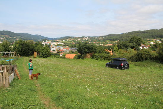 Frau B. möchte ja immer gerne den unverbaubaren Blick aus dem Schlafzimmerfenster  haben.