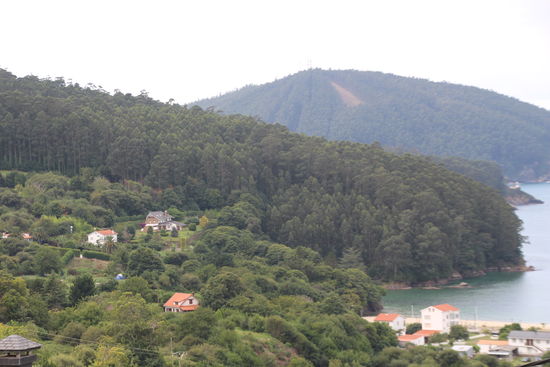 zurück oberhalb von Cedeira - mit Blick Richtung Grundstück unseres "Basislagers"