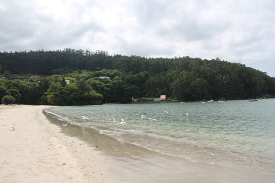 Ende des Rundwanderweges in der Bucht unterhalb unseres Standortes.