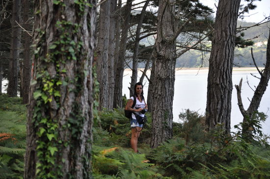 "Ein Mädlein steht im Walde, ganz still und stumm..."