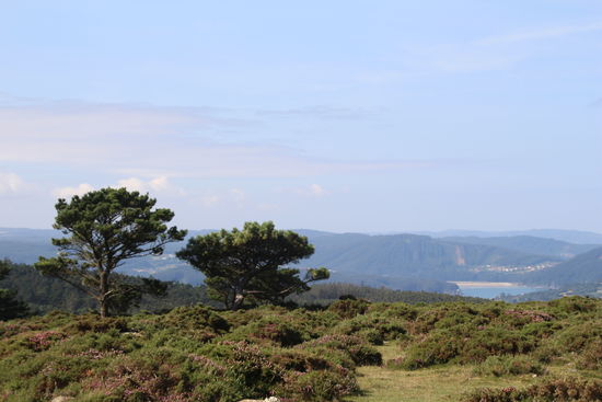 Ausblick auf die Bucht von Cedeira