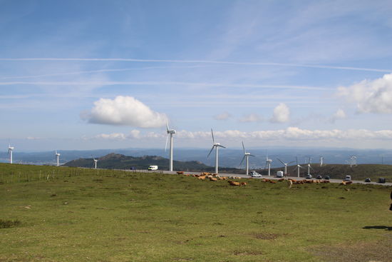 Der Blick ins Landesinnere zeigt riesige Areale mit Windrädern.
