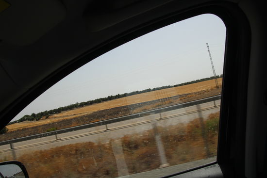 Farbe braun überwiegt in der Landschaft ... ist halt schon lange zu trocken.