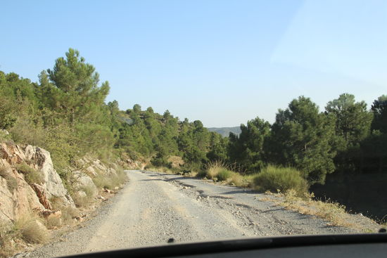 Ich denke die ganze Zeit an Dich, mein lieber "offroad-Motorrad-Cousin M." 