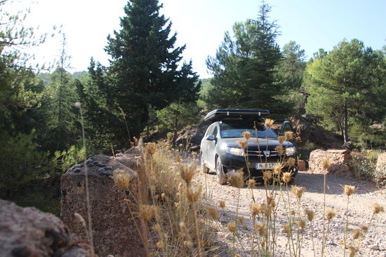 habe hier eindeutig das falsche Fahrzeug