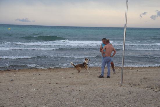 André verschenkt eine Hunde-Frisbee-Scheibe und schon sportelt auch der Hund 