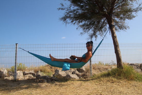 so ein Zaun kann für vieles gut sein.