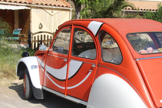 es gibt sie noch - wie schön - die Enten