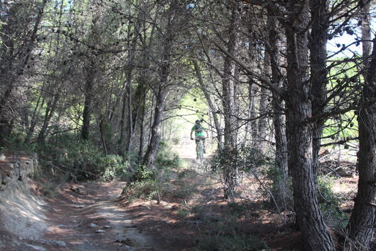 Fußgänger begegnen mir nicht... nur hin und wieder ein Mountainbiker