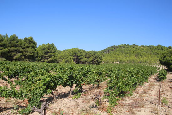 dafür kann ich jederzeit fotografieren