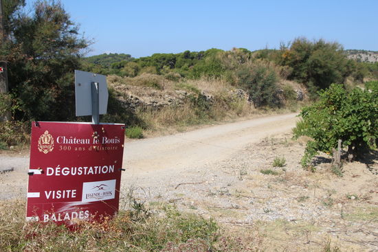 dégustation - o.k. kein Auto dabei: das läuft