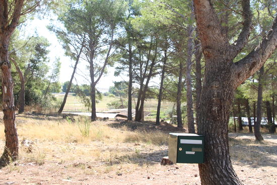 hier hatte man wohl Mitleid mit dem Postboten