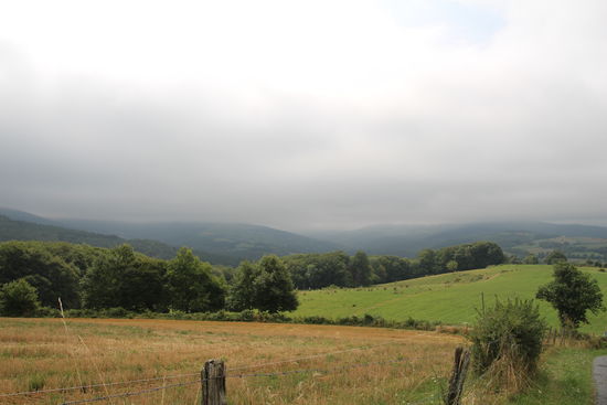 heute mal grauer Himmel - aber die Weite der Natur - ohne Großstadt, ohne Menschen - tut gut 
