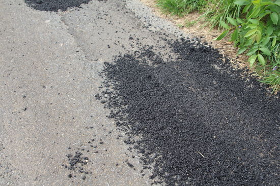 Straßenarbeiten beendet - tritt sich fest... also zumindest in meinen Schuhsohlen 