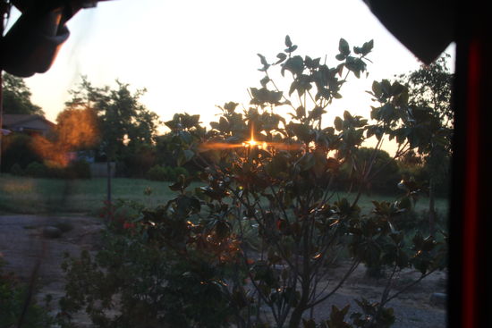 Sonnenaufgang vor dem Schlafzimmerfenster