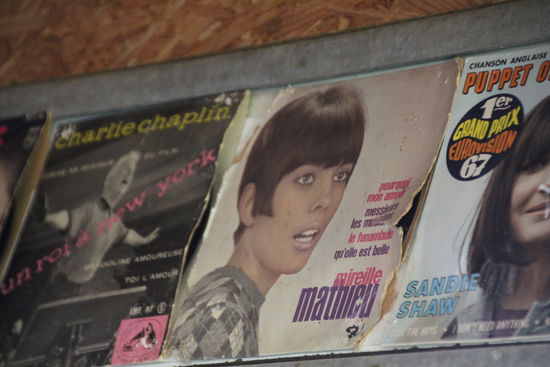 da merke ich, dass ich nicht mehr die Jüngste bin, weil ich doch so einige Gesichter erkenne 