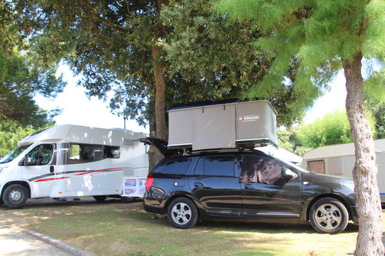 Ein Platz im Schatten - aber Madame steht gerne "außer der Reihe"