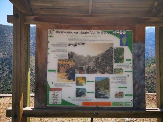 und nun geht es ins Asco-Tal