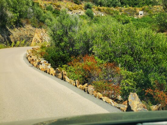 immer die Küste entlang Richtung Süden - die Steine am Straßenrand sind hier die "Leitplanken"