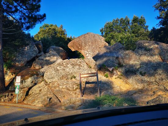 Und schon beginnt die kurze Strecke (ca. 10 km) durch die Calanche. Auf dem kleinen Schild links steht übrigens: "camping interdit" (campen verboten)