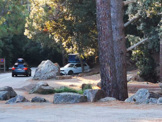 und direkt gegenüber nächtigt jemand in einem Dachzelt - die Leiter lehnt noch am Auto, eine Leine mit Wäsche ist zwischen die Bäume gespannt. Der oder die hat Nerven! Immerhin könnte so eine Übernachtung dann noch teurer werden als 25 € :-/