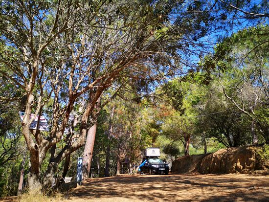 CP le Sud: um hier zwischen die Bäume zu kommen, musste ich mit Schwung bergauf, 45 ° rechtsabbiegen über Wurzeln und Sandboden mit Kiefernnadeln - hat funktioniert (mit leisem Geräusch vom Unterboden  )