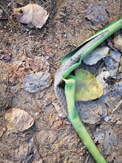 es ist nicht, wonach es aussieht  ES HAT FUNKTIONIERT!