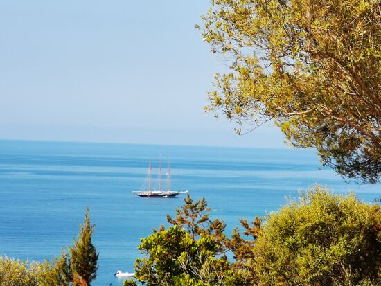 die "black pearl" ????