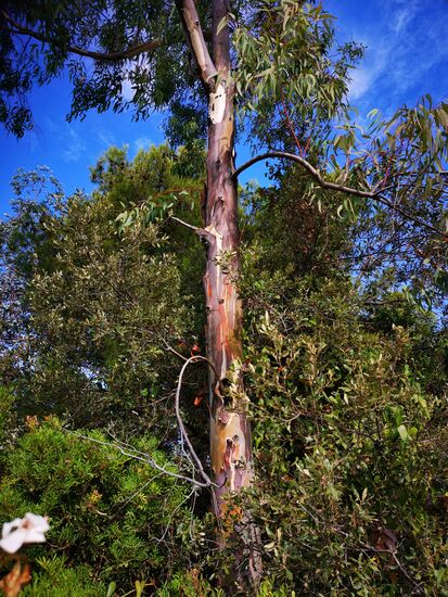und dann wieder hinauf ...