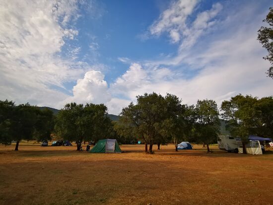 Platz ohne Ende - ich stehe mittig - ganz hinten in den Bäumen INKL. STROM 