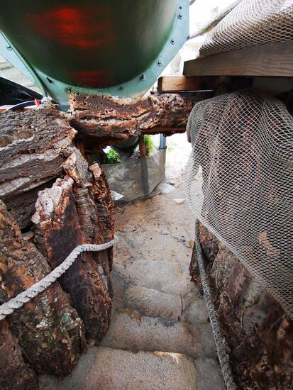 Der Weg ans Ufer führt unter den Rutschen durch.