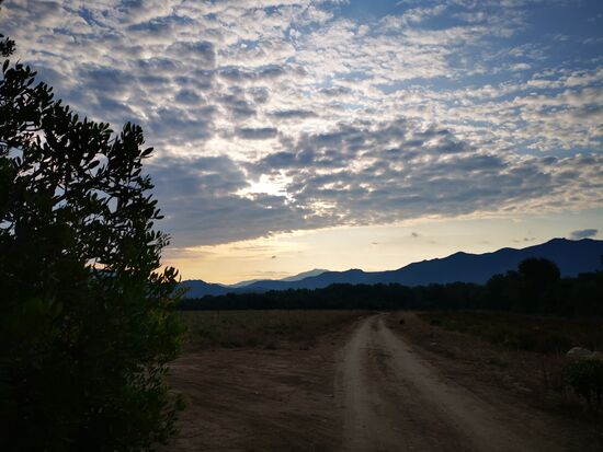 der frühe Vogel ... läuft erst einmal in die falsche Richtung 
