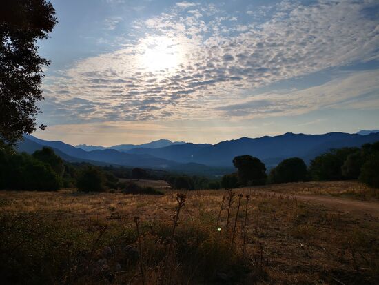 die Sonne setzt sich mehr und mehr durch