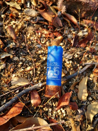 Patronenhülsen (Schrot?) immer wieder zu finden...