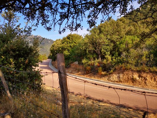 ja, da ist sie - die Straße - leider ein Stacheldrahtzaun dazwischen