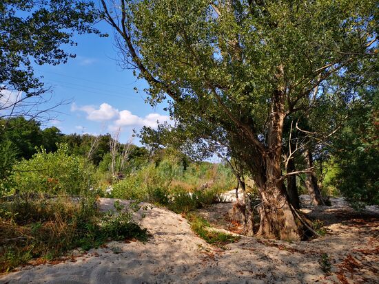 als ich noch dachte, es gebe einen Weg neben dem Fluss 