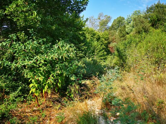 aber hier geht dann wirklich nichts mehr weiter