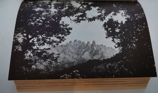 ""Eselshörner" werden die Asinao-Türme allgemein genannt. Es sind die markantestens Zacken der so sehr an die Dolomiten erinnernden Aiguilles de Bavella im Südosten der Insel. Wunderschön ist der Wald zu ihren Füßen." Quelle: Goldstadt-Reiseführer Korsika, Band 15, 1973