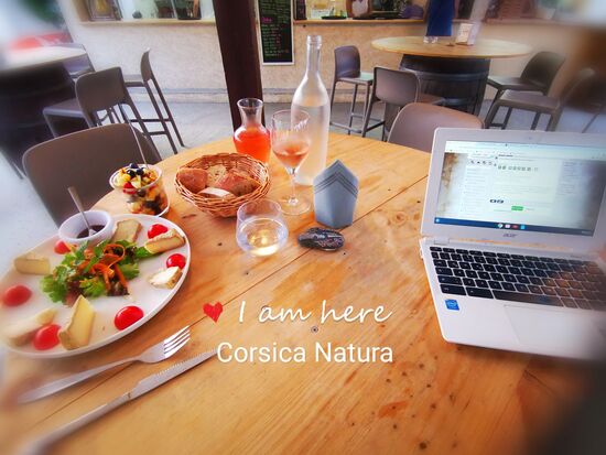 Abends im Restaurant - Bericht schreiben mit Käseteller und Obstsalat