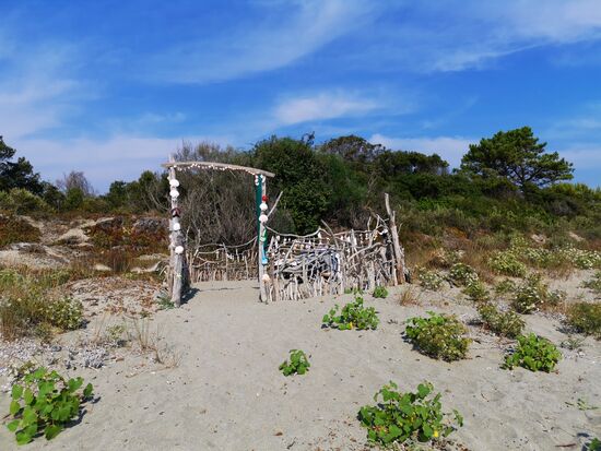 das viele Holz, das hier rumliegt wird fantasievoll genutzt