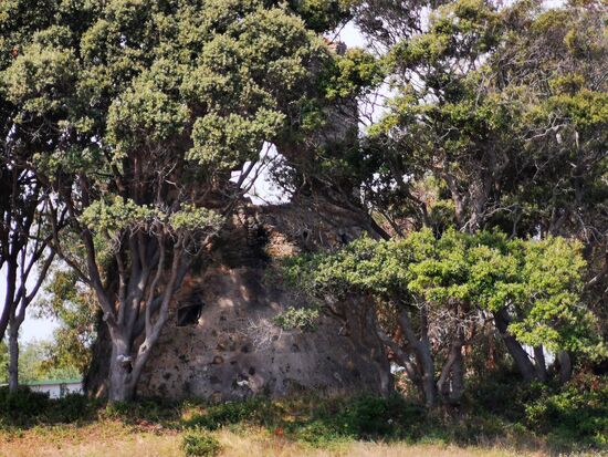 Überreste eines Genuesenturmes