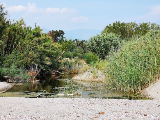 kleine Lagunen befinden sich stellenweise in Meeresnähe.