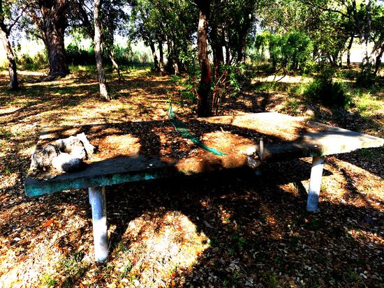 hier hat es sich ausgespielt - ein Netz liegt immer noch da