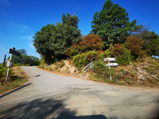 manche Entscheidungen fallen nicht leicht 