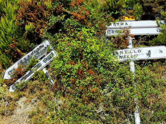 die Qual der Wahl.... wohin und welche Richtung war das mal, als die Schilder noch standen 